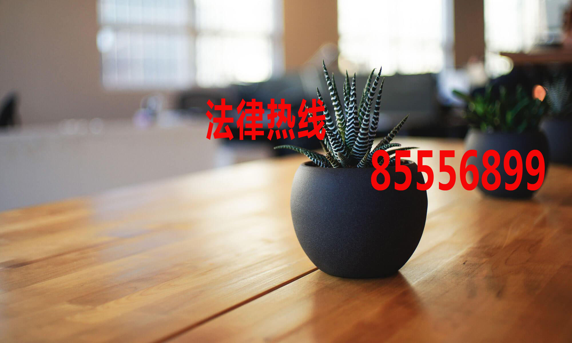 龙湾律师15356291688_龙湾民事律师_温州市龙湾区民事案件律师